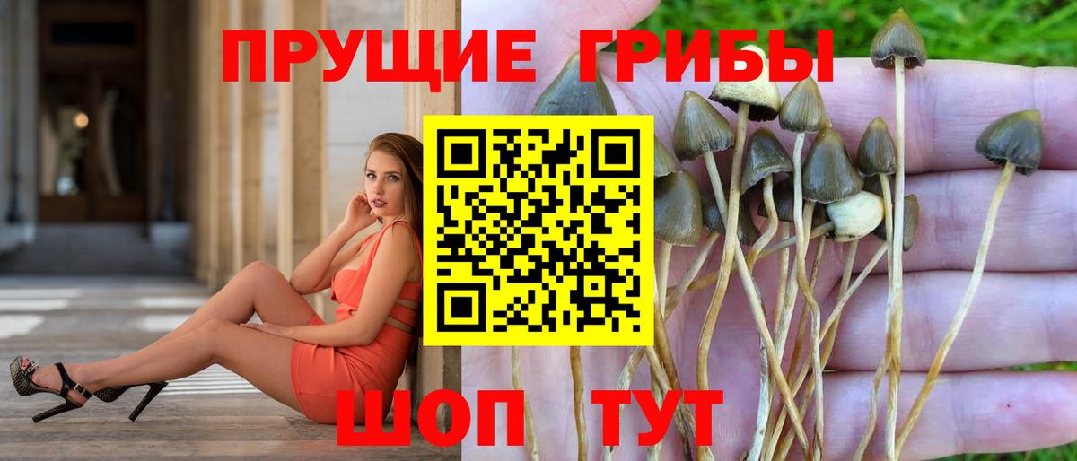 Галлюциногенные грибы ЛСД Тара