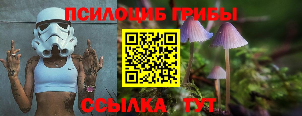 Тара  Псилоцибиновые грибы ЛСД  Галлюциногенные грибы ЛСД  где купить наркоту  Вход с VPN 